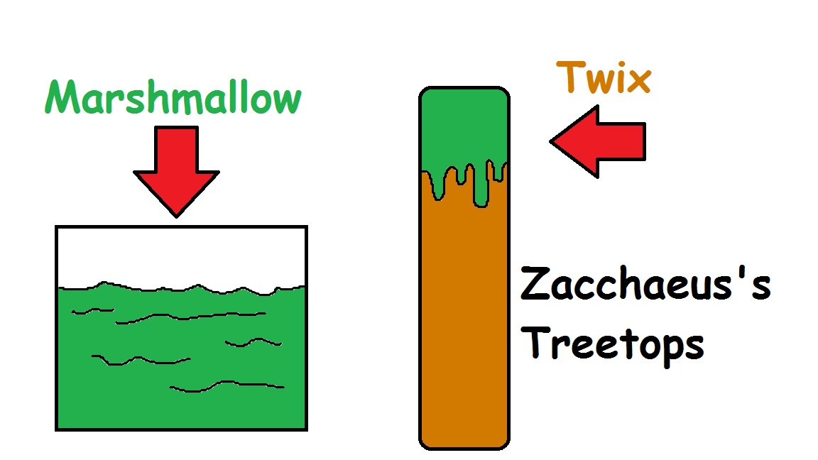 Zacchaeus Snacks
